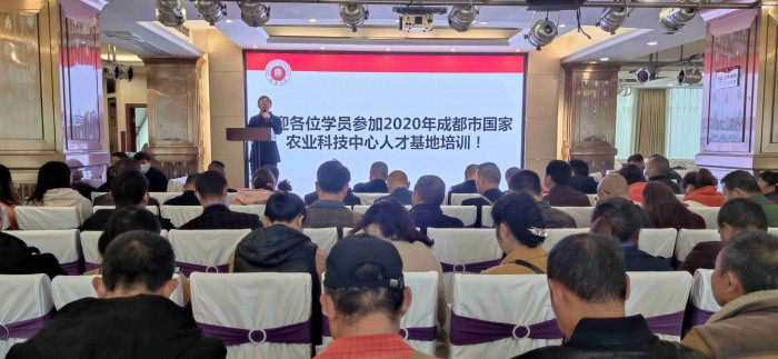 toto开奖