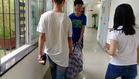 toto开奖