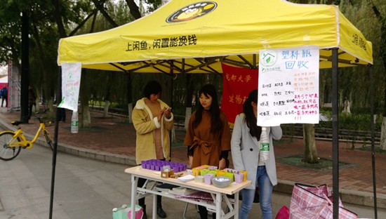 toto开奖