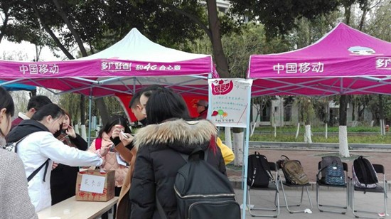 toto开奖