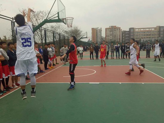 toto开奖