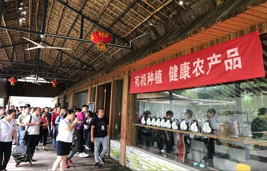 toto开奖