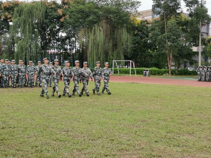 toto开奖