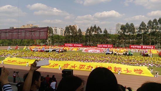 toto开奖