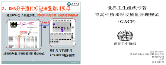 toto开奖