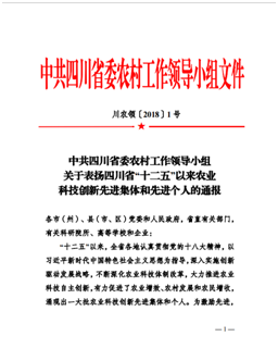toto开奖
