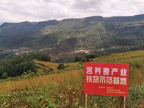 toto开奖