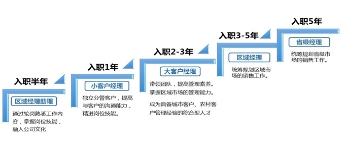toto开奖