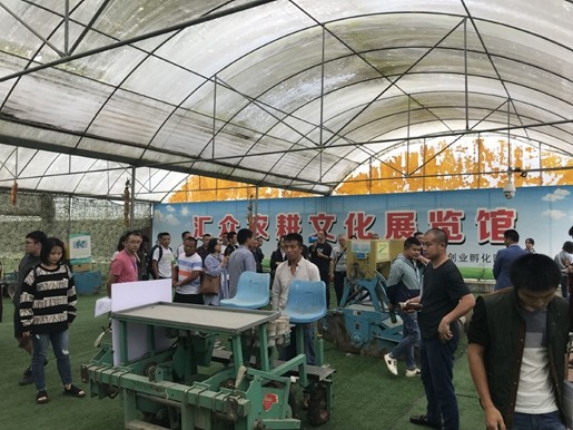 toto开奖