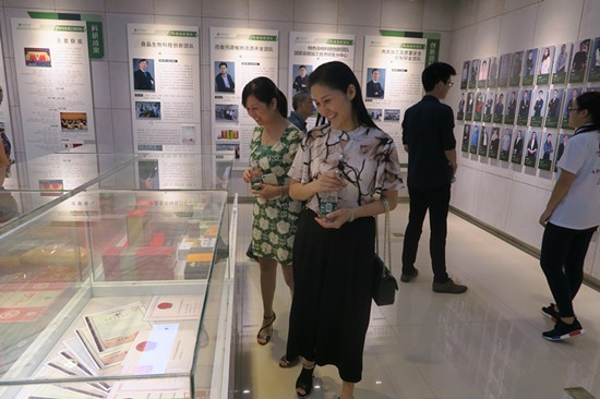 toto开奖
