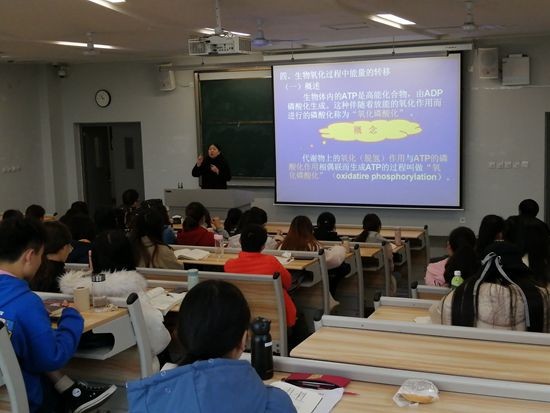 toto开奖