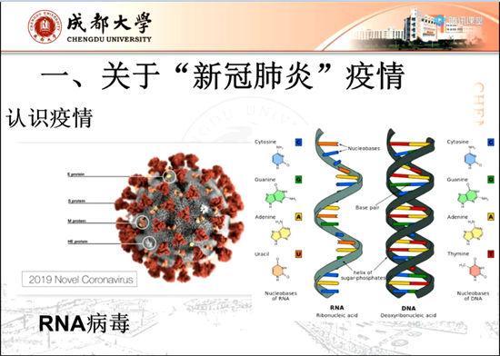 toto开奖