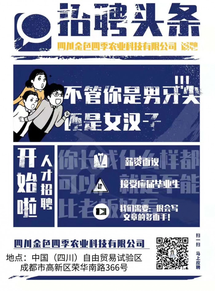 toto开奖
