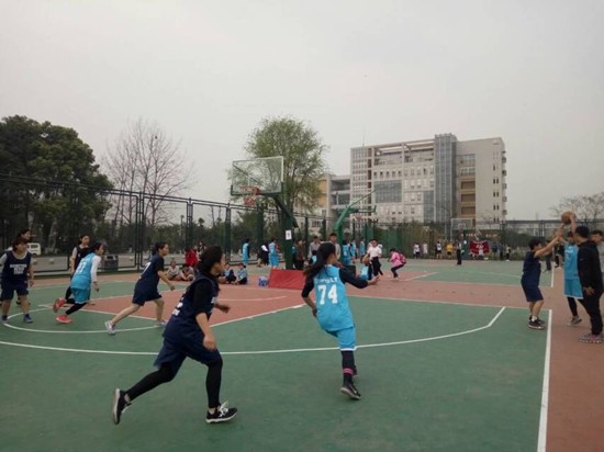 toto开奖