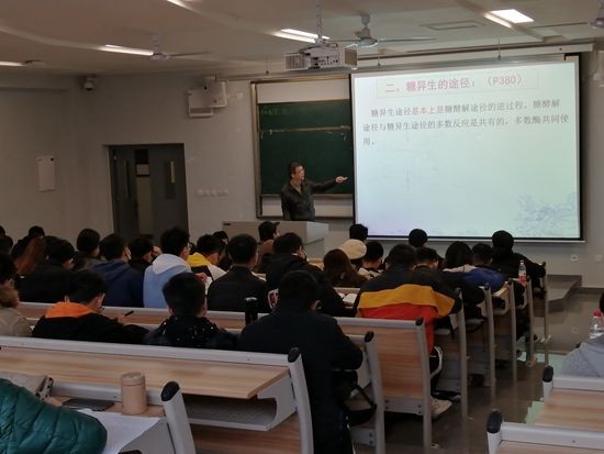 toto开奖