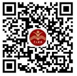 toto开奖