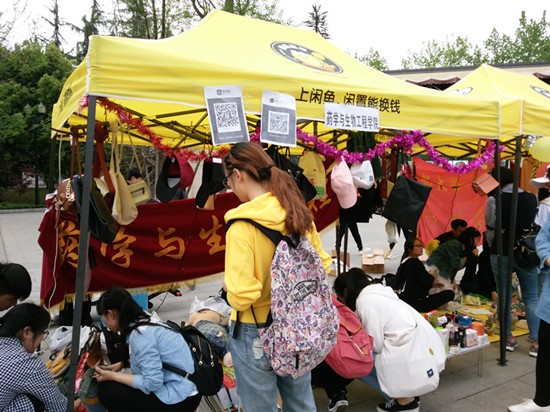 toto开奖