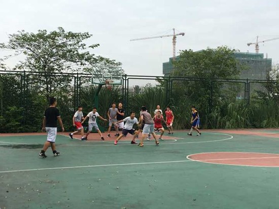 toto开奖