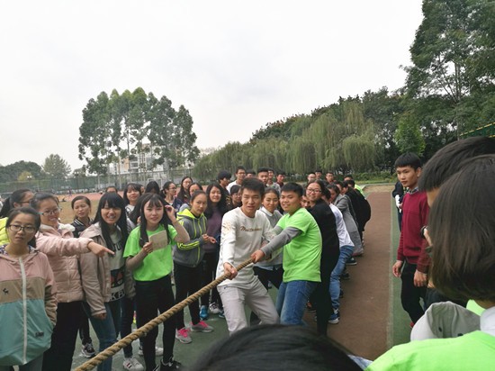 toto开奖