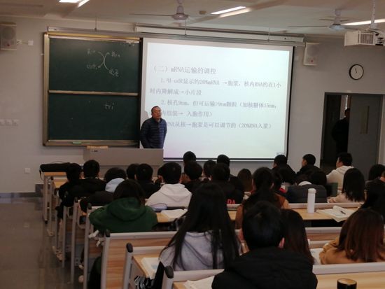 toto开奖
