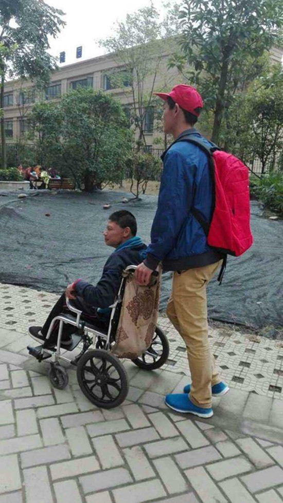 toto开奖