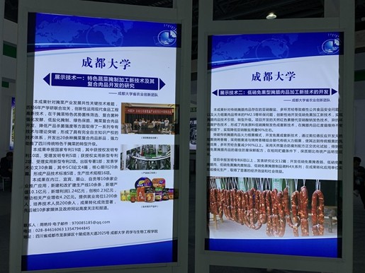 toto开奖