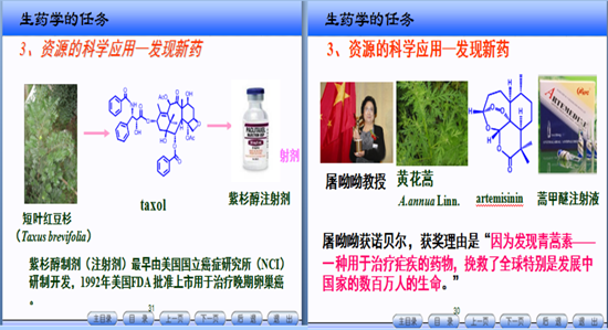 toto开奖