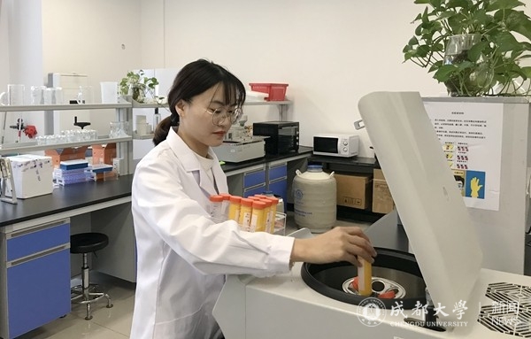 toto开奖