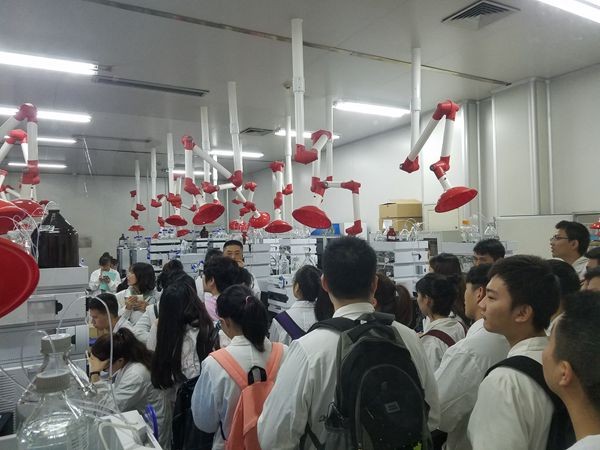 toto开奖