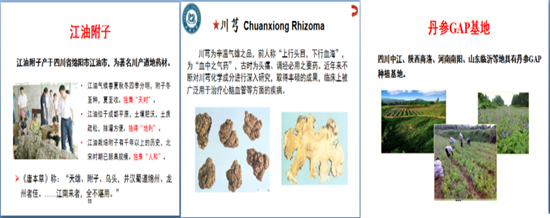 toto开奖